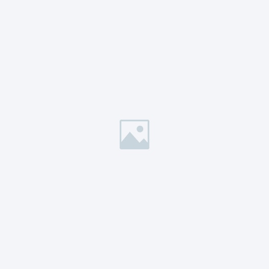 About 526x526 11.jpg